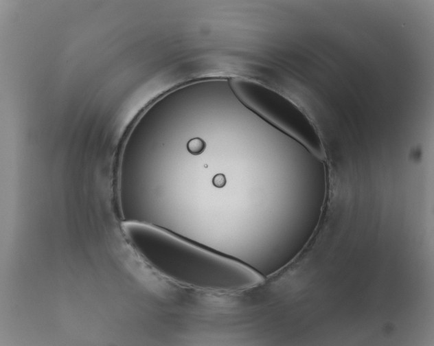 X0000112361138200908201457