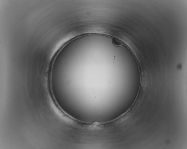 X0000112361139200908201457