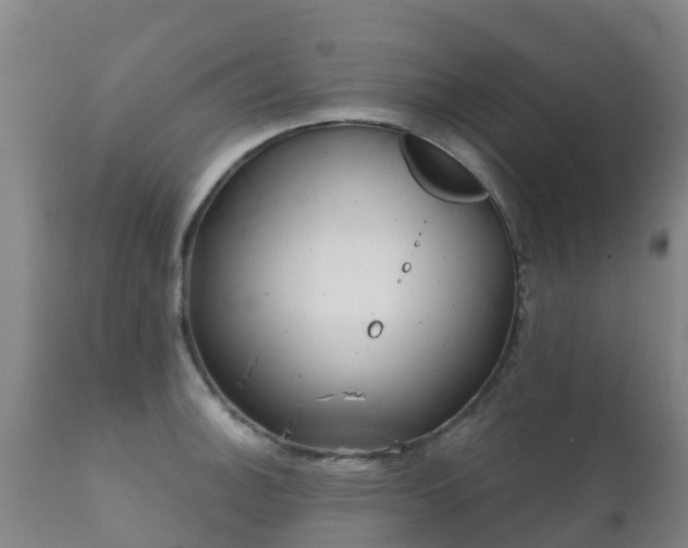 X0000112361140200908201457