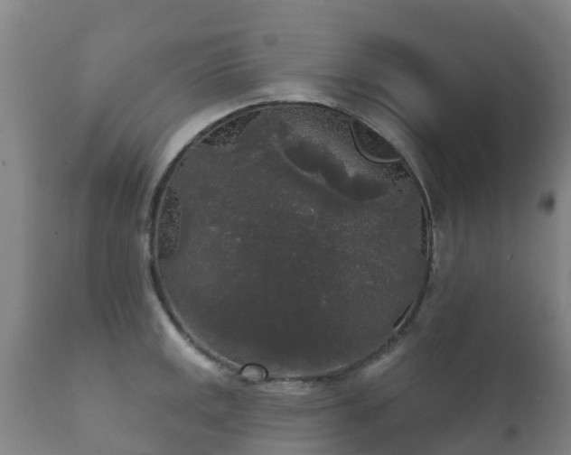 X0000112361141200908201457