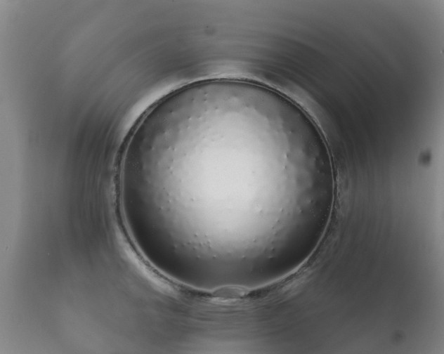 X0000112361142200908201457