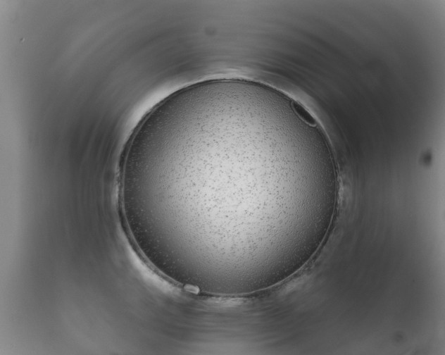 X0000112361143200908201457