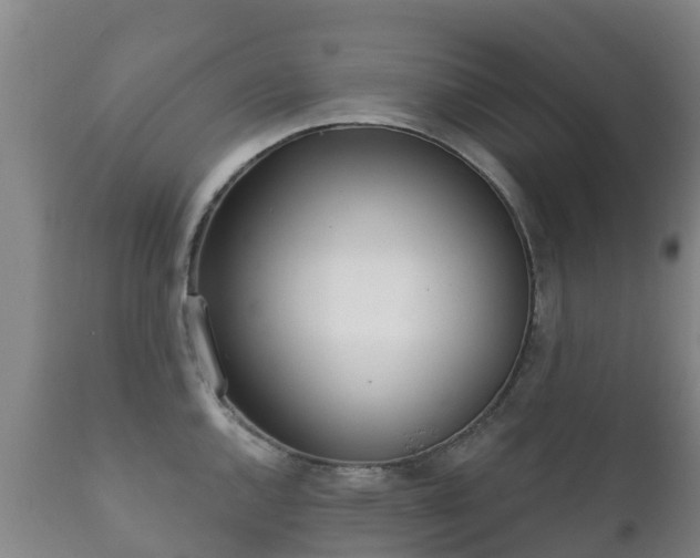 X0000112361144200908201457