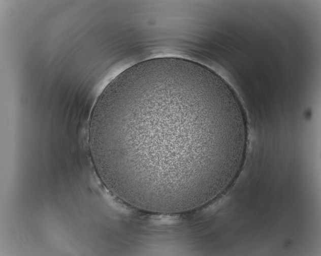 X0000112361145200908201457