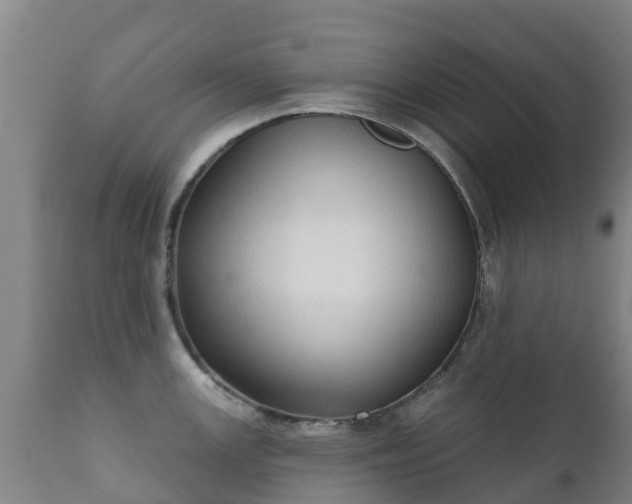 X0000112361147200908201457