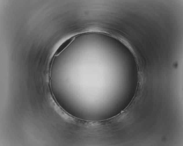 X0000112361148200908201457