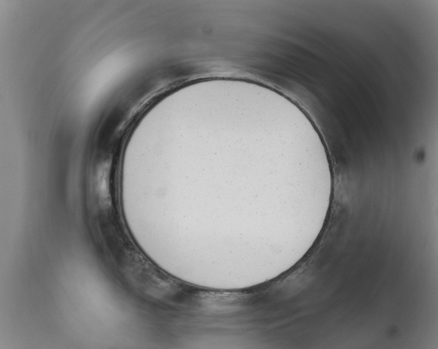 X0000112361150200908201457