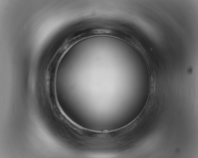 X0000112361151200908201457