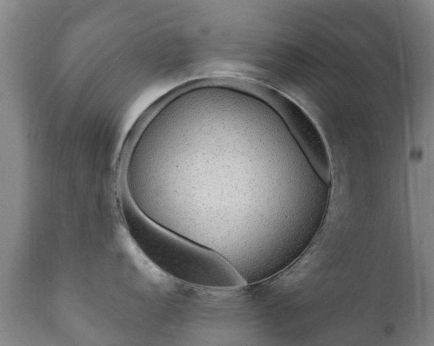 X0000112361152200908201457