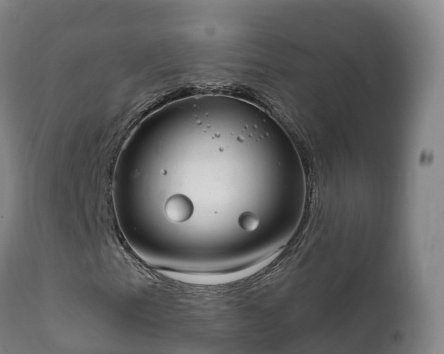 X0000112361153200908201456