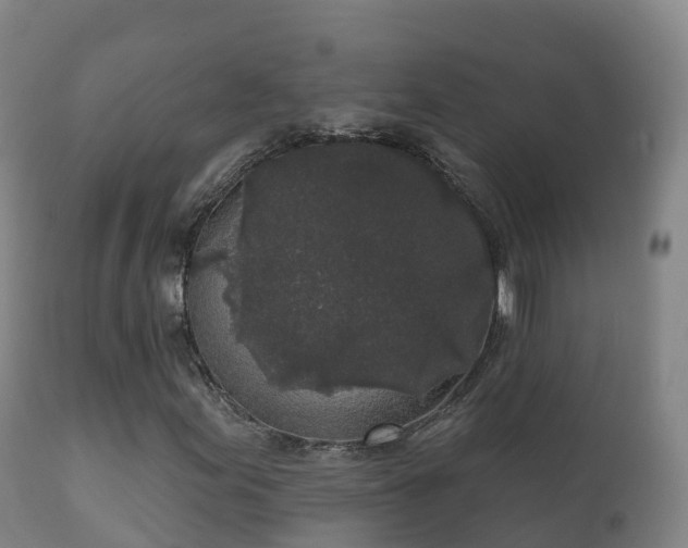 X0000112361155200908201456