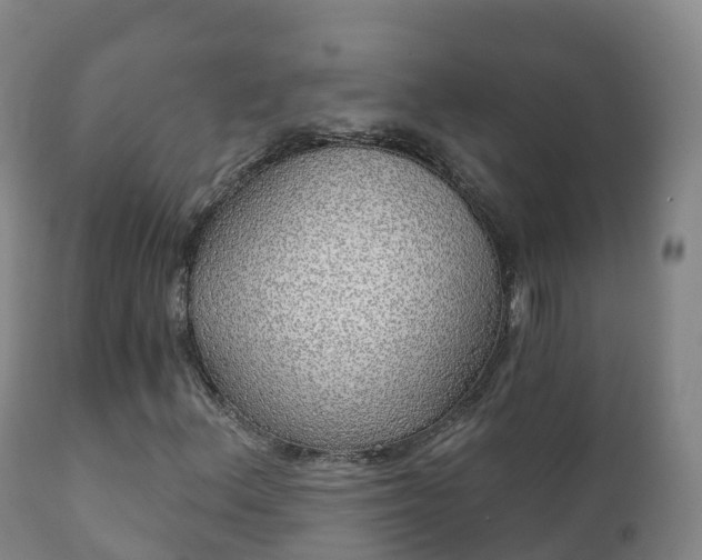 X0000112361156200908201456