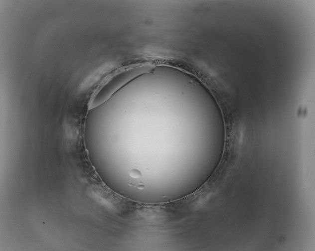 X0000112361157200908201456