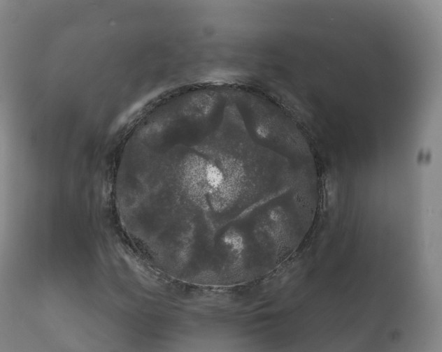 X0000112361158200908201456