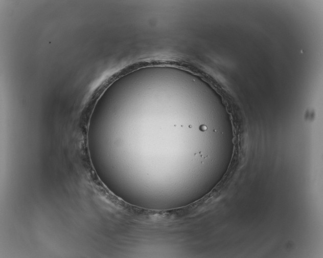 X0000112361160200908201456