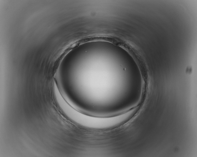 X0000112361161200908201456