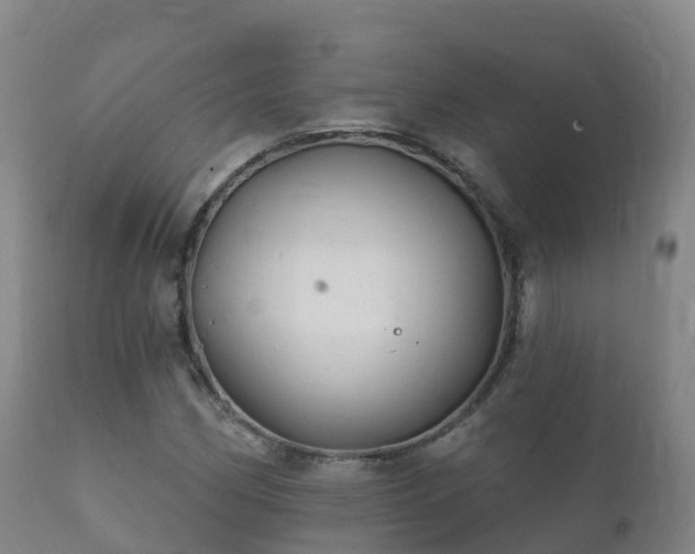 X0000112361162200908201456