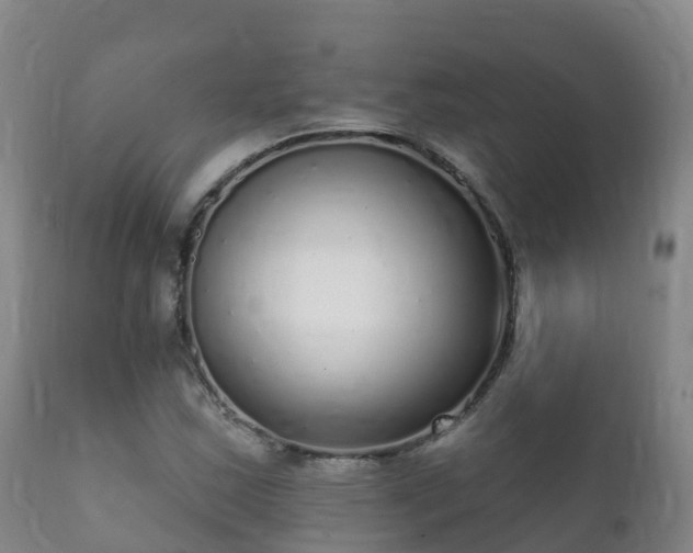 X0000112361163200908201456