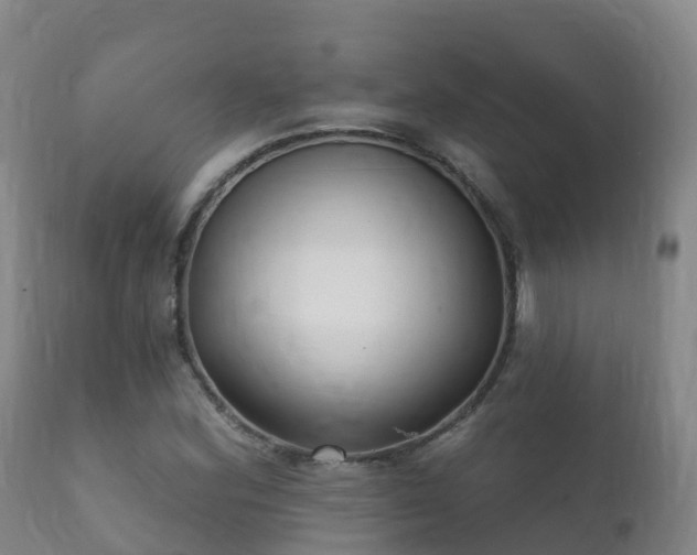 X0000112361164200908201456