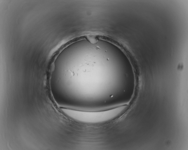 X0000112361165200908201456