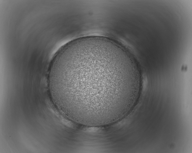 X0000112361166200908201456