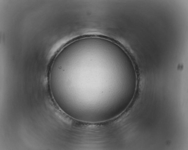 X0000112361167200908201456