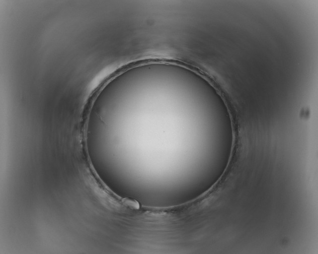 X0000112361168200908201456