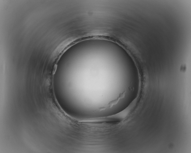 X0000112361169200908201456