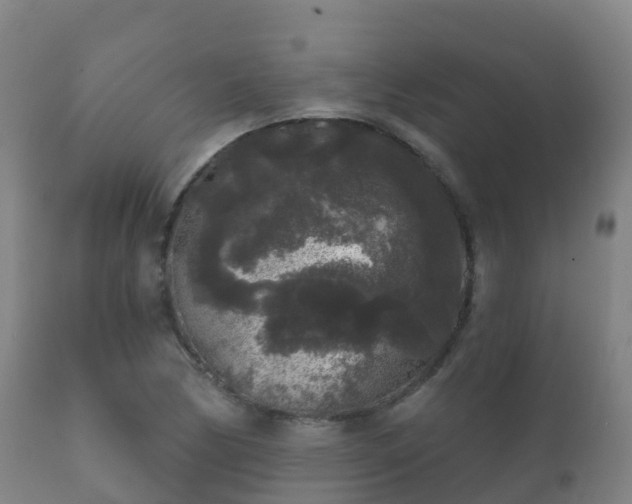 X0000112361170200908201456