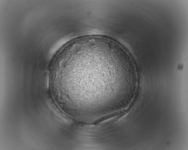 X0000112361171200908201456