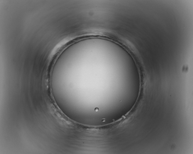 X0000112361172200908201456