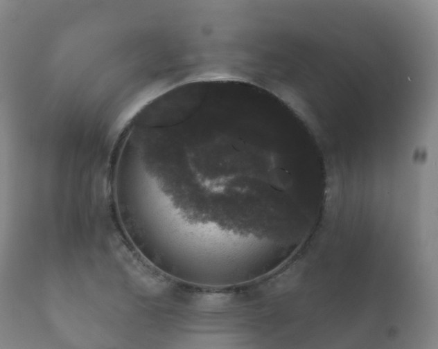 X0000112361173200908201456