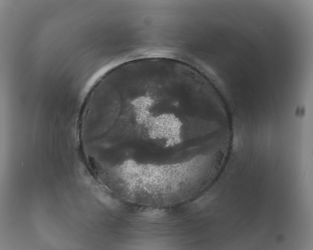 X0000112361174200908201456