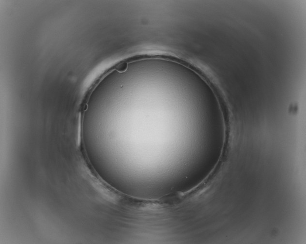 X0000112361175200908201456