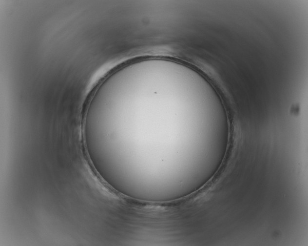 X0000112361176200908201456