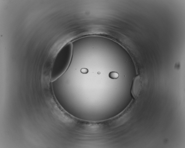 X0000112361177200908201456