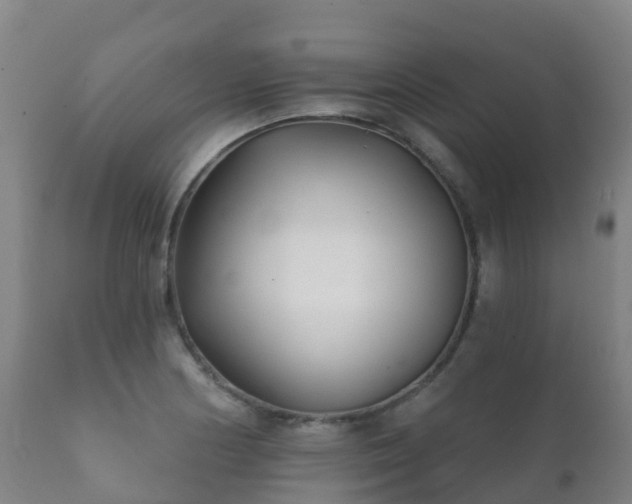 X0000112361178200908201456