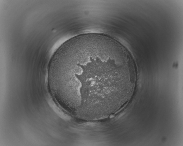 X0000112361179200908201456