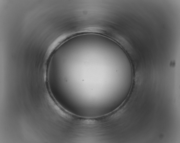 X0000112361180200908201456