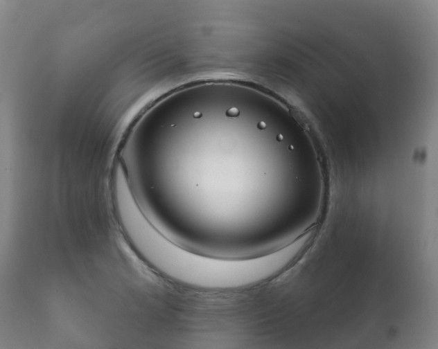 X0000112361181200908201456