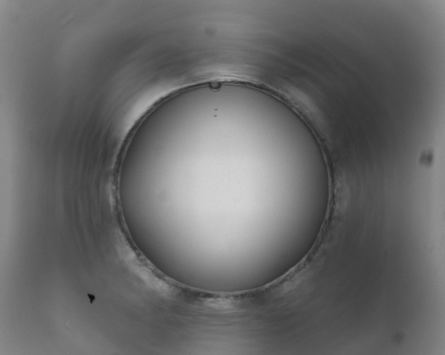 X0000112361182200908201456