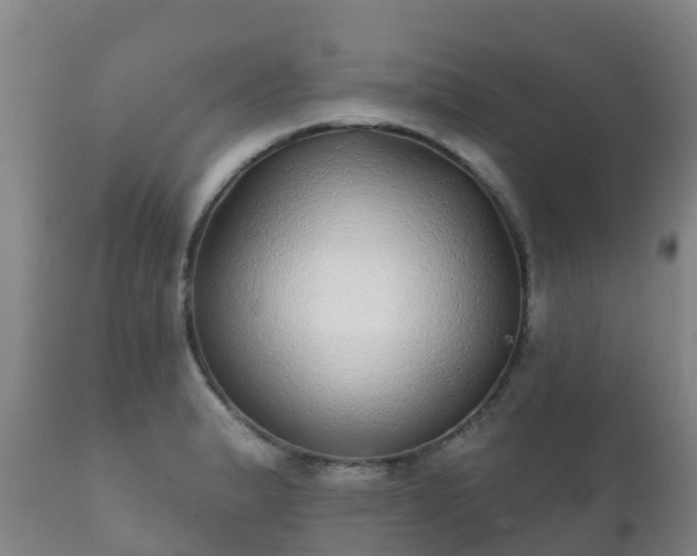 X0000112361183200908201456