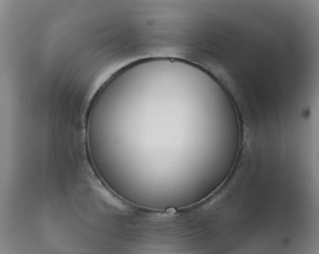 X0000112361184200908201456