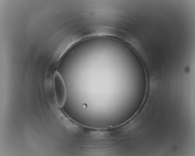 X0000112361185200908201456