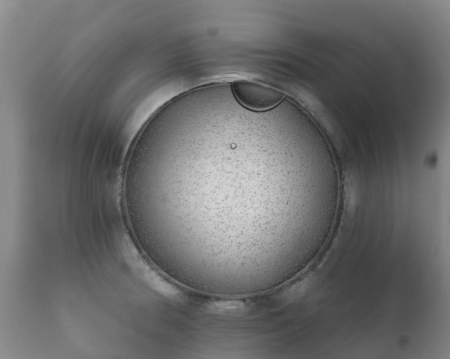 X0000112361186200908201456