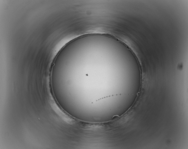 X0000112361187200908201456