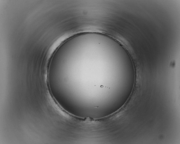 X0000112361188200908201456