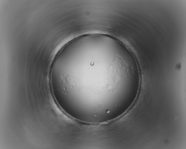 X0000112361189200908201456