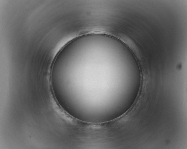 X0000112361190200908201456