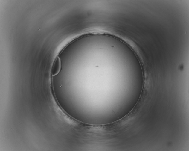 X0000112361191200908201456